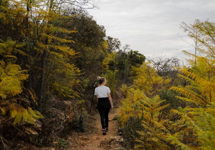 Groenkloof Nature Reserve 1